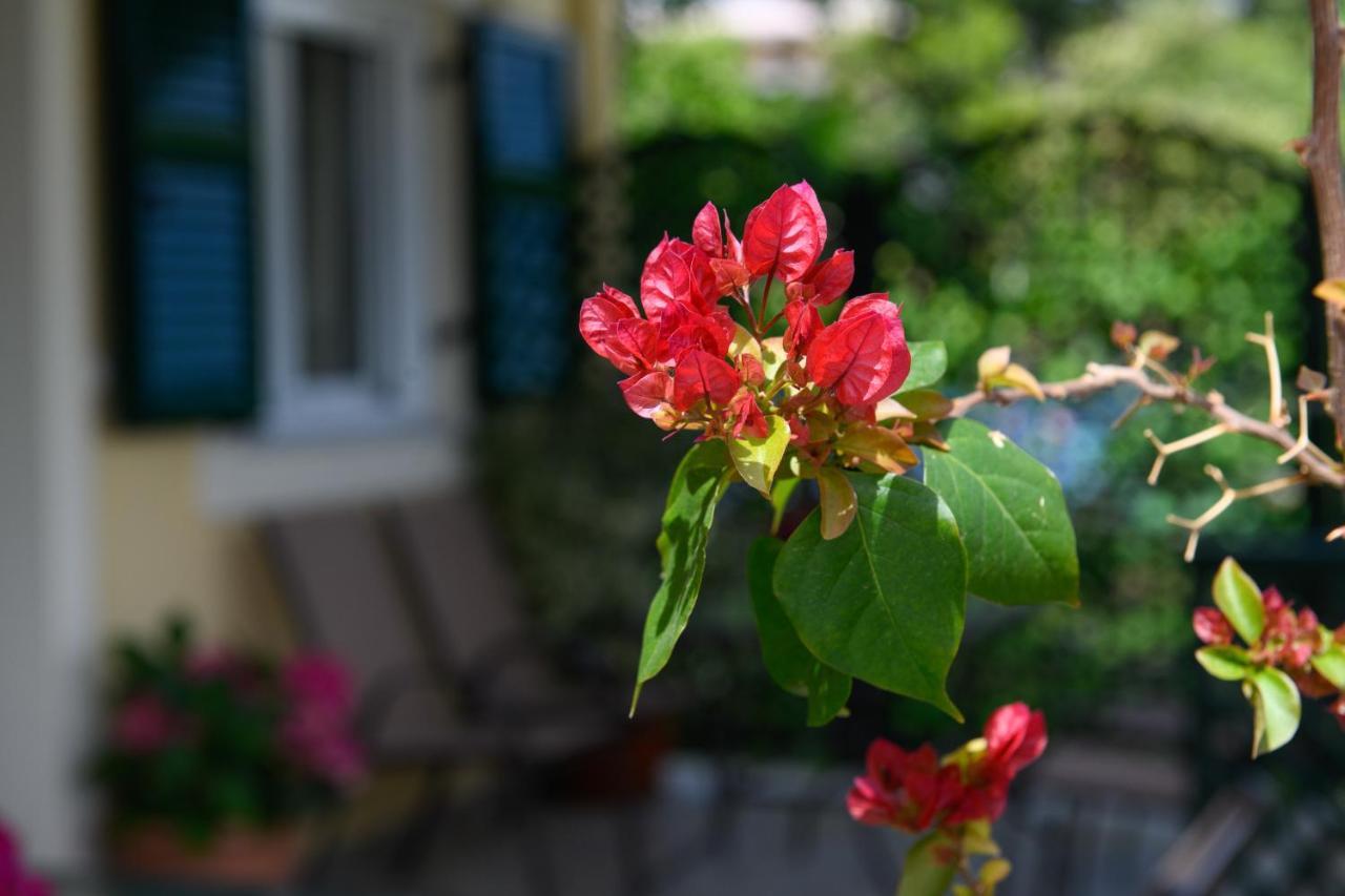 Nostalgia Corfu Town Apartments Ngoại thất bức ảnh